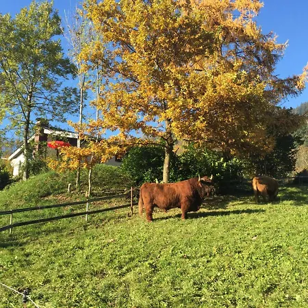 Rheintalblick Ferienhaus Dornbirn
